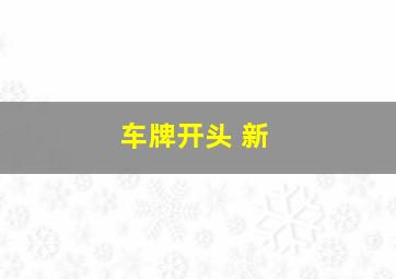 车牌开头 新